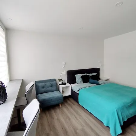 Modern Courtyard Apartman